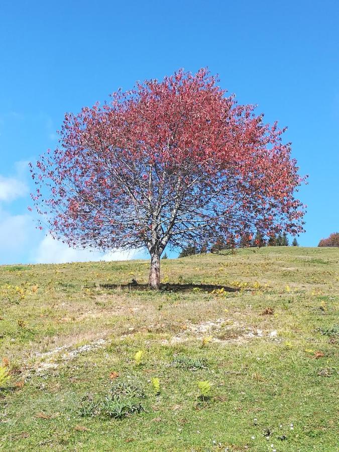 Apartamento Zbogar Rateče Exterior foto